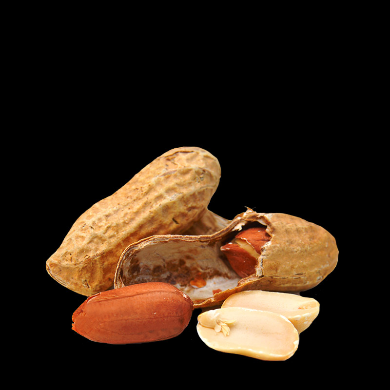 cheese image