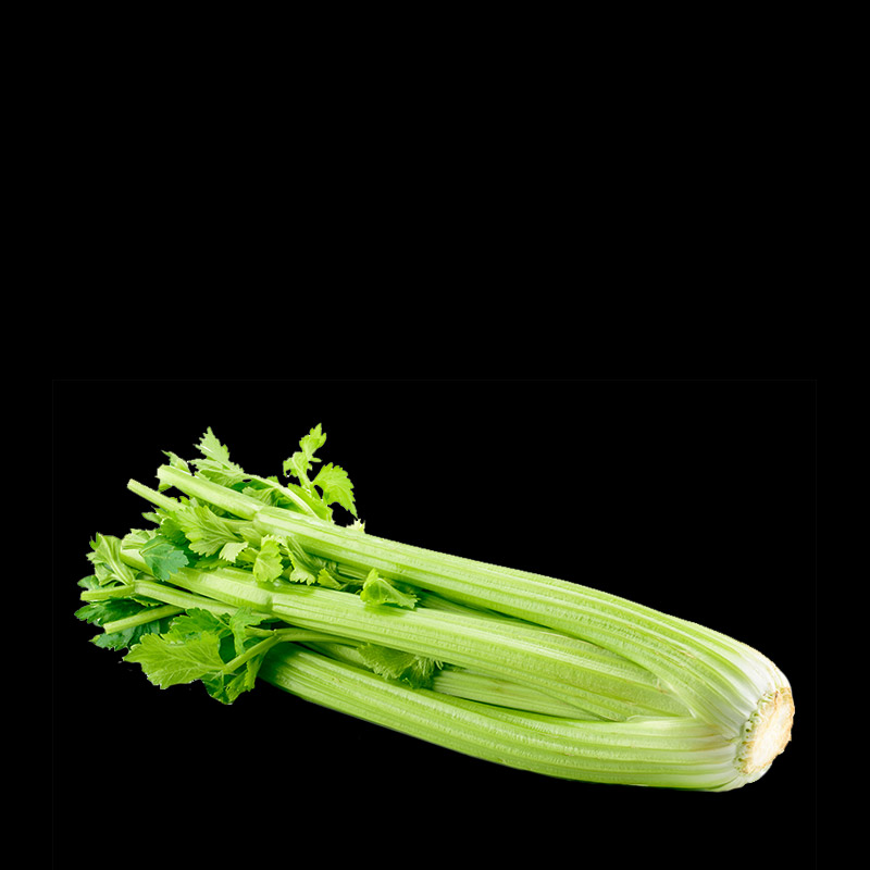 cheese image